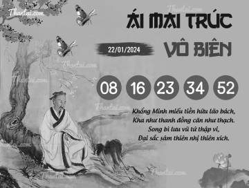 ÁI MAI TRÚC VÔ BIÊN 22/01/2024