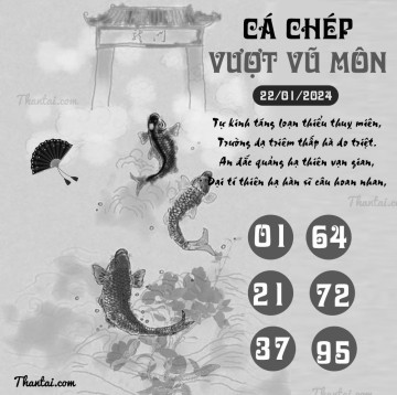 CÁ CHÉP VƯỢT VŨ MÔN 22/01/2024