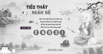 TIỂU THẦY NGÂM SỐ 23/01/2024