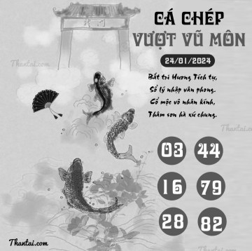 CÁ CHÉP VƯỢT VŨ MÔN 24/01/2024