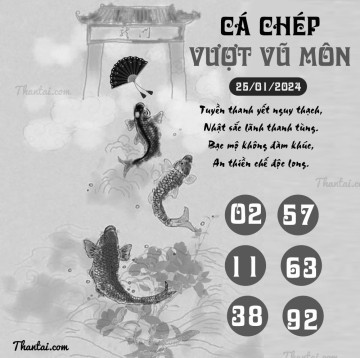 CÁ CHÉP VƯỢT VŨ MÔN 25/01/2024