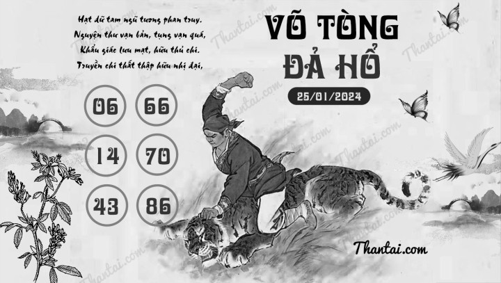 VÕ TÒNG ĐẢ HỔ 10/01/2024