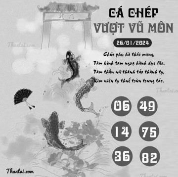 CÁ CHÉP VƯỢT VŨ MÔN 26/01/2024