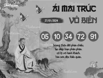 ÁI MAI TRÚC VÔ BIÊN 27/01/2024