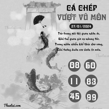 CÁ CHÉP VƯỢT VŨ MÔN 27/01/2024