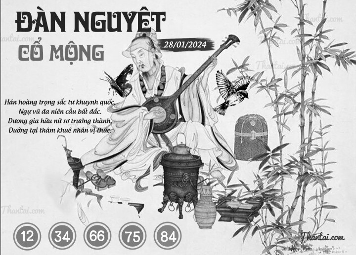 ĐÀN NGUYỆT CỔ MỘNG 13/01/2024