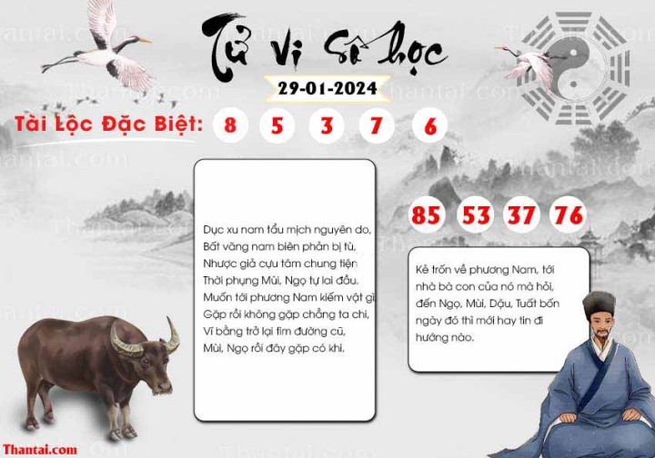 TỬ VI SỐ HỌC 14/01/2024
