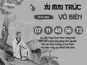 ÁI MAI TRÚC VÔ BIÊN 29/01/2024