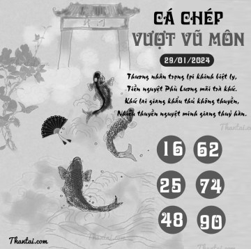 CÁ CHÉP VƯỢT VŨ MÔN 29/01/2024