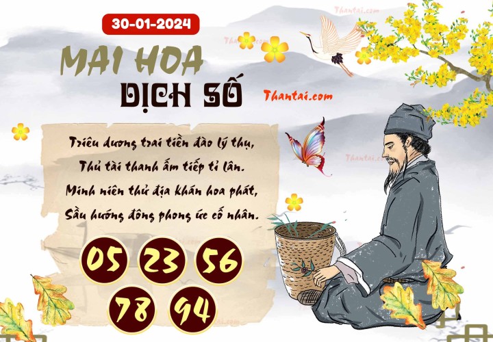 Mai Hoa Dịch Số 15/01/2024