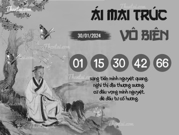 ÁI MAI TRÚC VÔ BIÊN 30/01/2024