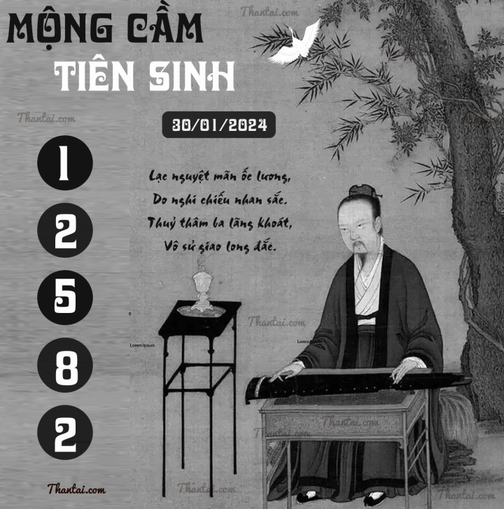MỘNG CẦM TIÊN SINH 15/01/2024