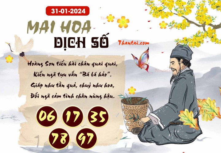 Mai Hoa Dịch Số 16/01/2024