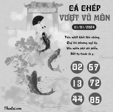 CÁ CHÉP VƯỢT VŨ MÔN 31/01/2024