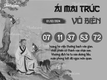 ÁI MAI TRÚC VÔ BIÊN 01/02/2024