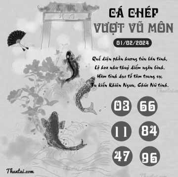 CÁ CHÉP VƯỢT VŨ MÔN 01/02/2024