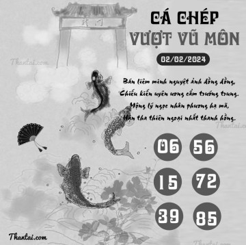 CÁ CHÉP VƯỢT VŨ MÔN 02/02/2024