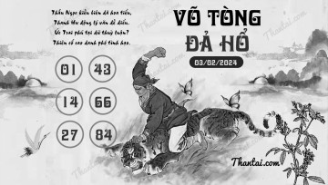 VÕ TÒNG ĐẢ HỔ 03/02/2024