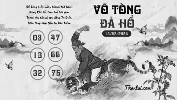 VÕ TÒNG ĐẢ HỔ 13/02/2024