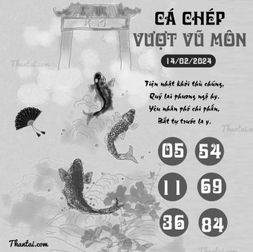 CÁ CHÉP VƯỢT VŨ MÔN 14/02/2024