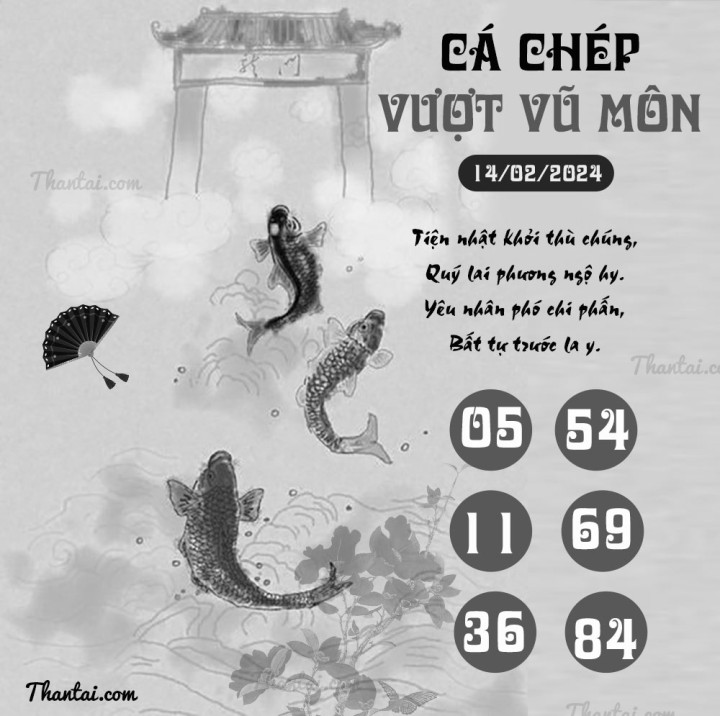 CÁ CHÉP VƯỢT VŨ MÔN 30/01/2024