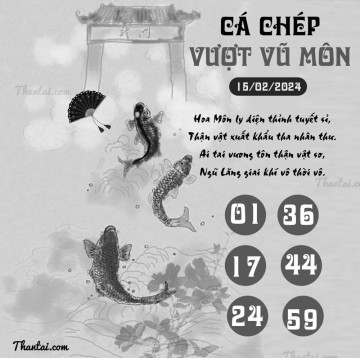 CÁ CHÉP VƯỢT VŨ MÔN 15/02/2024