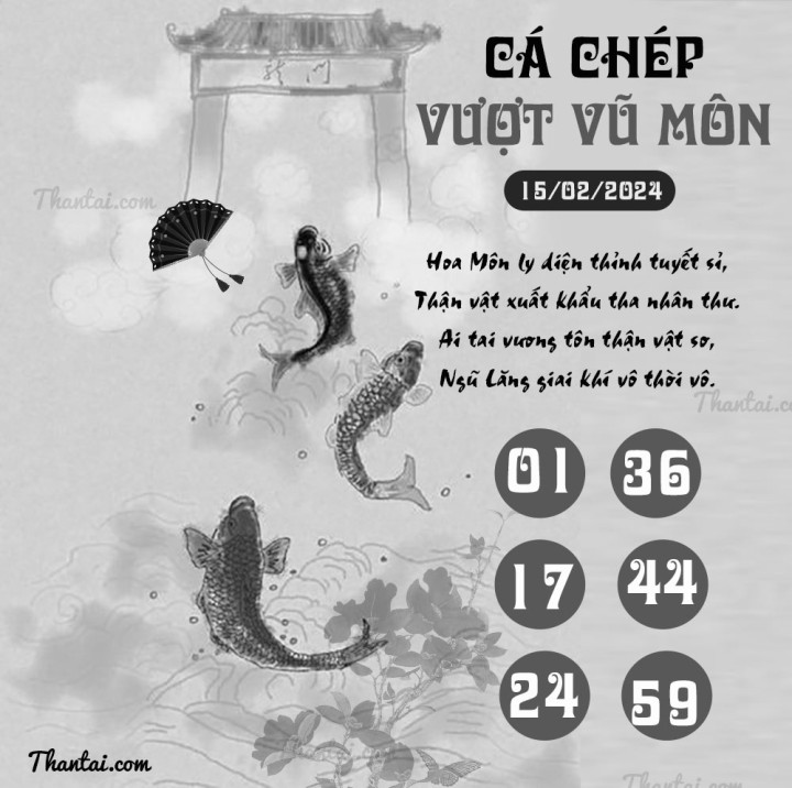 CÁ CHÉP VƯỢT VŨ MÔN 31/01/2024