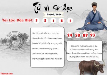 TỬ VI SỐ HỌC 18/02/2024