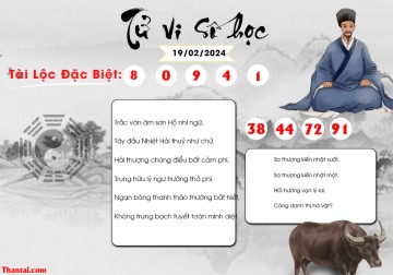 TỬ VI SỐ HỌC 19/02/2024