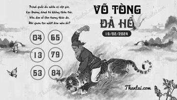 VÕ TÒNG ĐẢ HỔ 19/02/2024