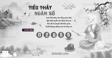 TIỂU THẦY NGÂM SỐ 19/02/2024