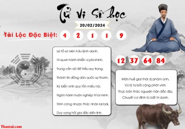 TỬ VI SỐ HỌC 20/02/2024