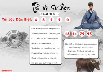 TỬ VI SỐ HỌC 21/02/2024