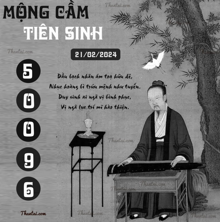 MỘNG CẦM TIÊN SINH 06/02/2024