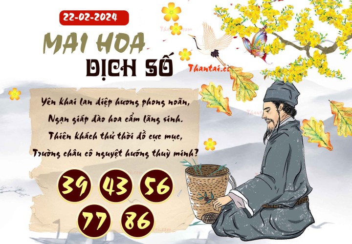 Mai Hoa Dịch Số 07/02/2024