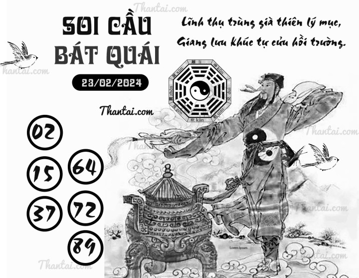 SOI CẦU BÁT QUÁI 08/02/2024
