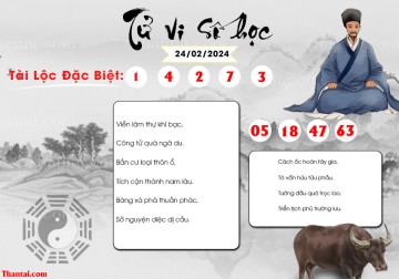 TỬ VI SỐ HỌC 24/02/2024