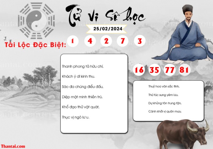TỬ VI SỐ HỌC 13/02/2024