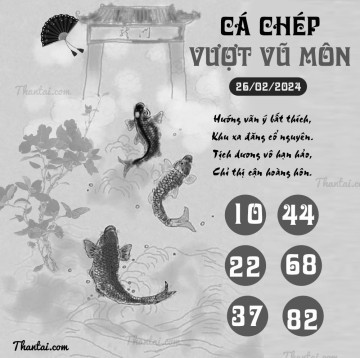 CÁ CHÉP VƯỢT VŨ MÔN 26/02/2024