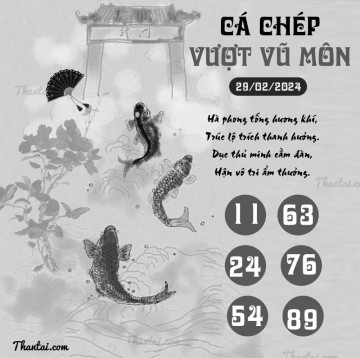 CÁ CHÉP VƯỢT VŨ MÔN 29/02/2024