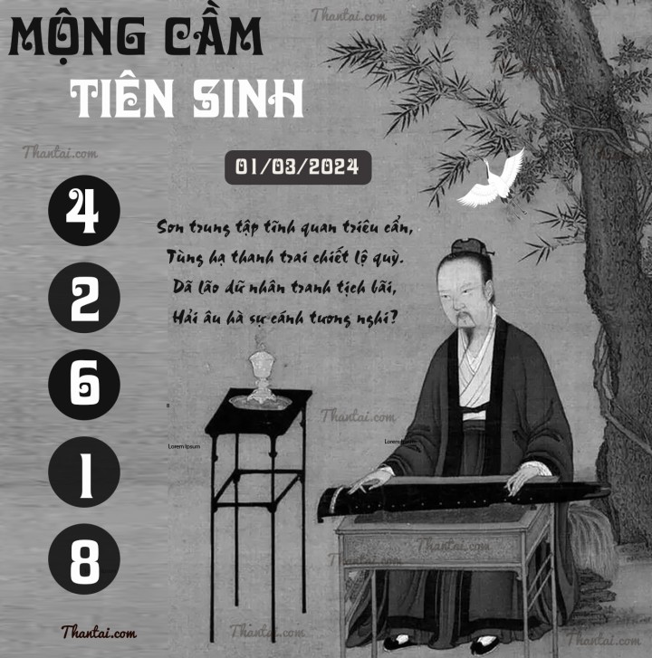 MỘNG CẦM TIÊN SINH 15/02/2024