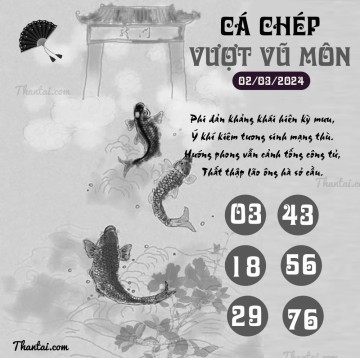 CÁ CHÉP VƯỢT VŨ MÔN 02/03/2024