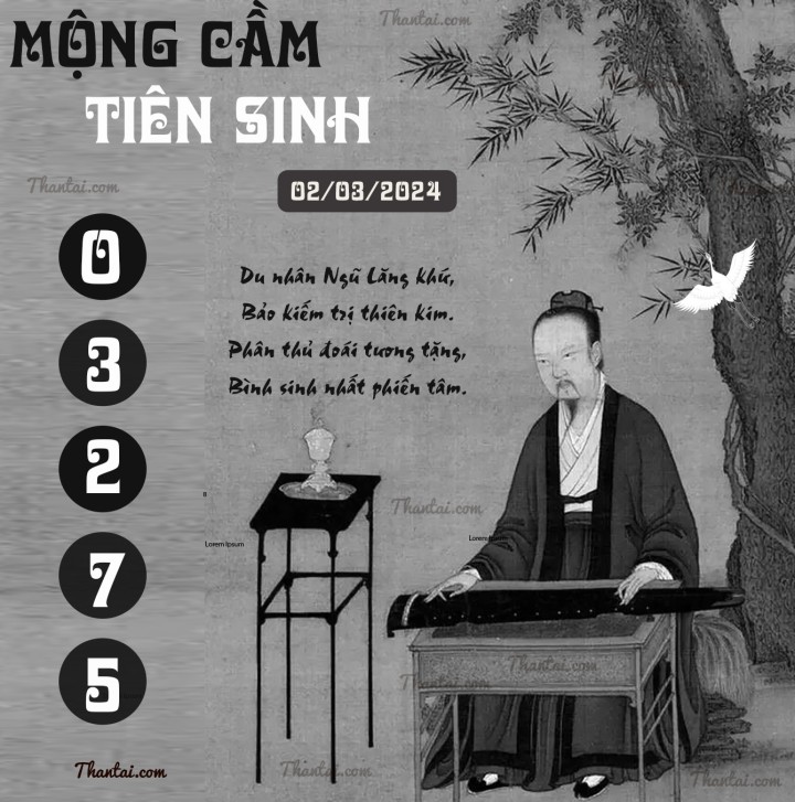 MỘNG CẦM TIÊN SINH 16/02/2024