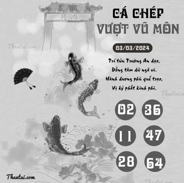 CÁ CHÉP VƯỢT VŨ MÔN 17/02/2024