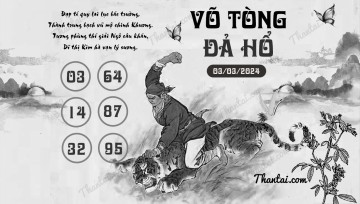 VÕ TÒNG ĐẢ HỔ 03/03/2024