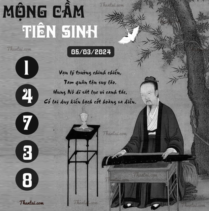 MỘNG CẦM TIÊN SINH 19/02/2024