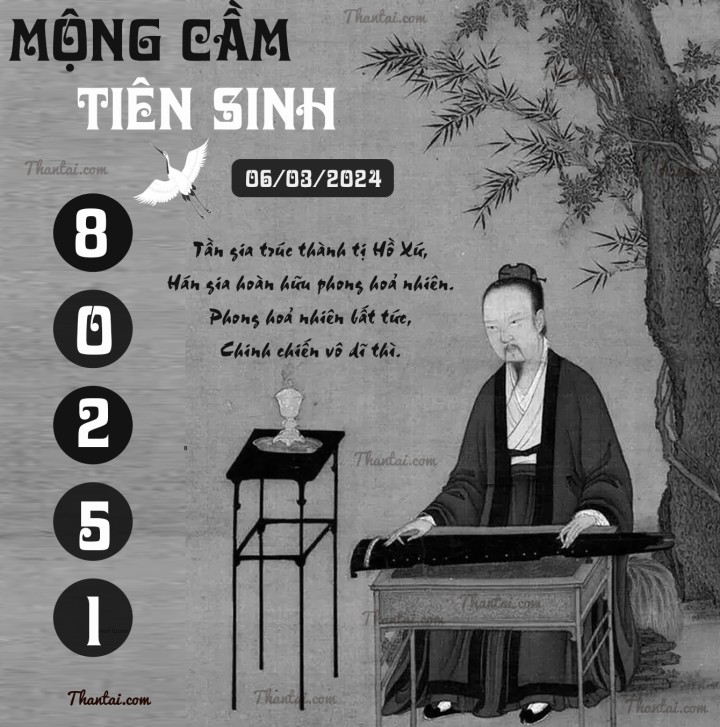 MỘNG CẦM TIÊN SINH 20/02/2024
