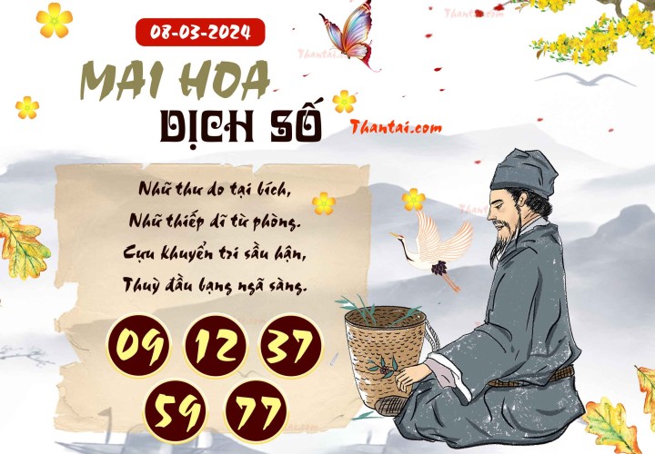 Mai Hoa Dịch Số 22/02/2024