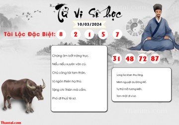 TỬ VI SỐ HỌC 10/03/2024