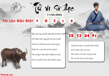 TỬ VI SỐ HỌC 11/03/2024